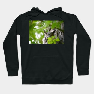 Wisdom of Silence Hoodie